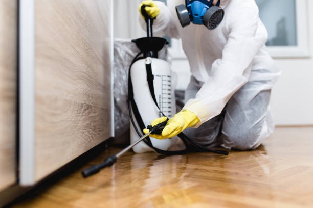 Best Termite Control Services  in Melrose, MA