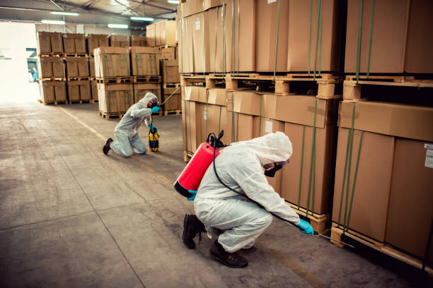 Professional Pest Control in Melrose, MA