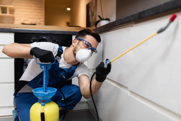 Best Bed Bug Extermination  in Melrose, MA