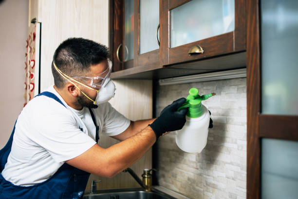 Best Pest Inspection Near Me  in Melrose, MA