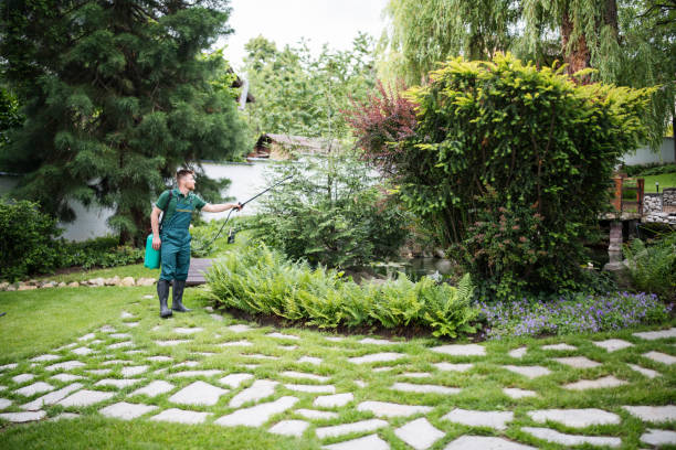 Best Pest Removal Services  in Melrose, MA
