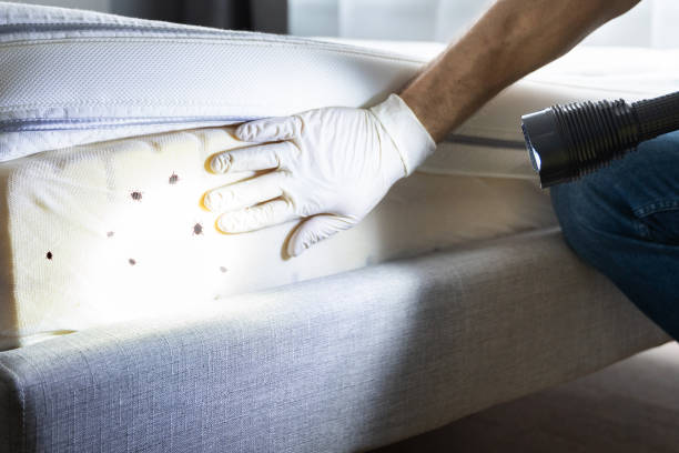 Pest Control Cost in Melrose, MA